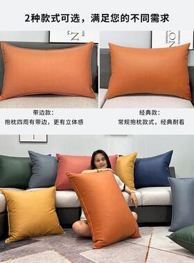 长方形科技布抱枕套腰枕靠枕AL220101含发客背厅大号枕头沙床头靠