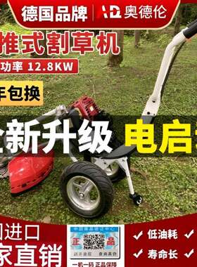 德国进口推割草机家用四程汽油开沟草机多功能打手草松冲土CSX锄