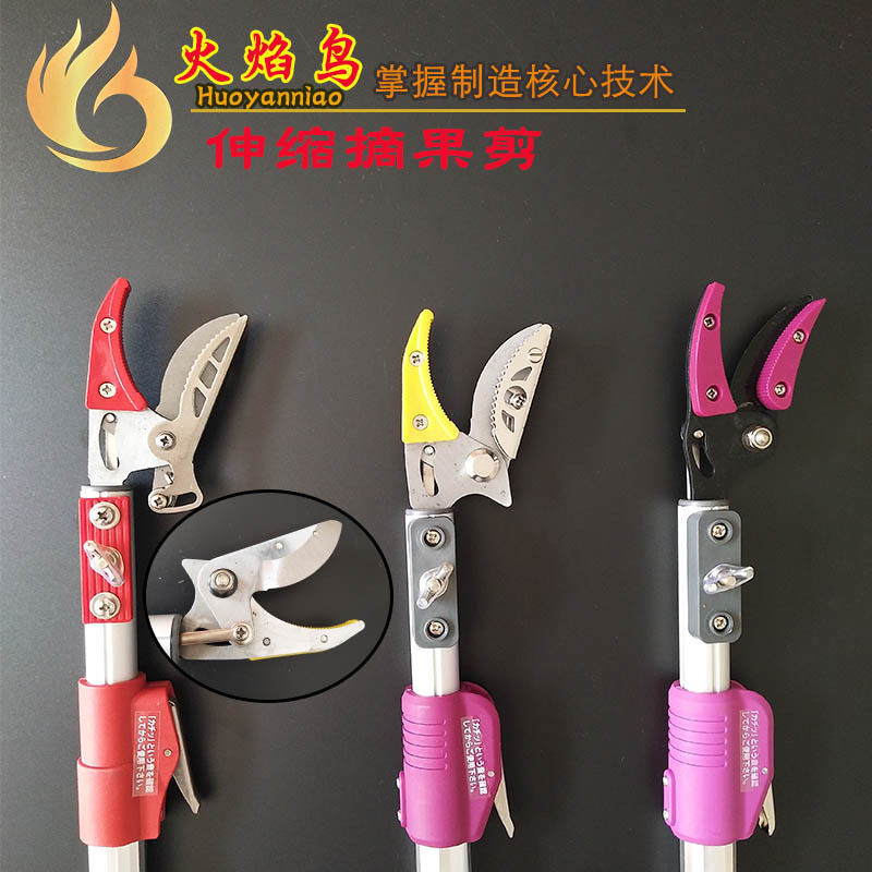 火焰鸟 伸缩摘果剪高枝 果树修枝高枝剪高空修枝剪采果剪园林工具
