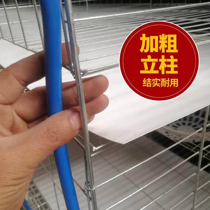 养殖鸽笼3鸽层12位子加粗圈养子笼肉鸽镀锌铁丝笼子ZGY信鸽白鸽笼