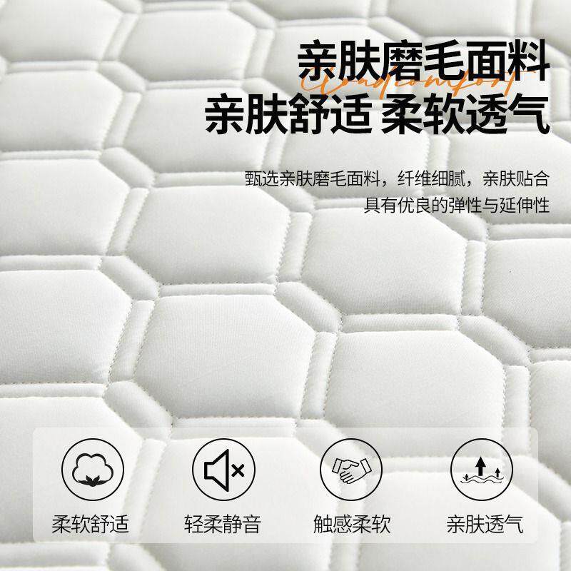 乳胶记忆加棉床垫遮盖学物软垫家用卧室厚榻榻米海绵chnchend子垫