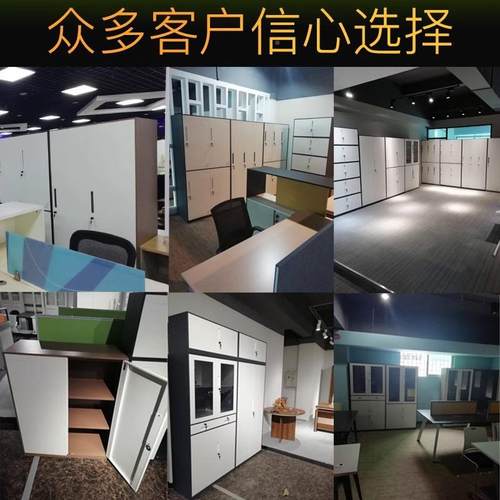 办ZT-CZ063柜资公室文件柜料档案凭证柜钢制铁皮矮柜加厚对开门多
