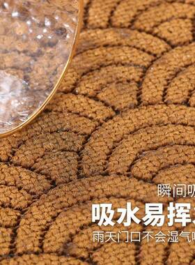 进入门耐地垫AL100456入户门垫入户门脏用家进户门吸水地毯大门口