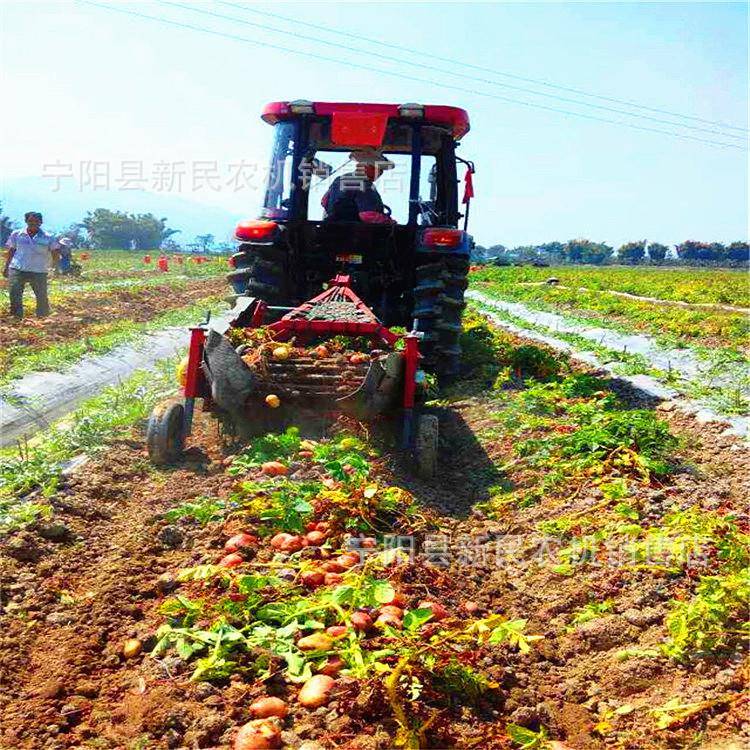 江苏盐城土豆大蒜胡萝卜出土挖掘机刨土豆用机器不伤果实四轮车带