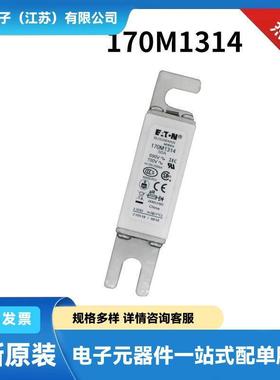 170M1314170M1313170M1315原装货源快速熔断器熔断器标准
