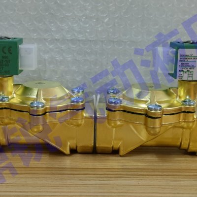SCE238D005 DN25 C131609 1寸 二通式内螺纹单向电磁阀