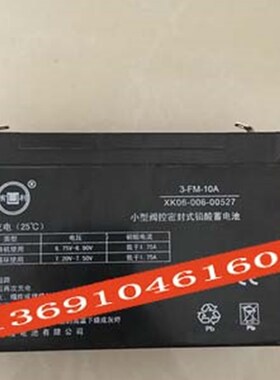 有利蓄电池 3-FM-10A 6V10AH 玩具车 童车用电瓶 XK06-006-00527