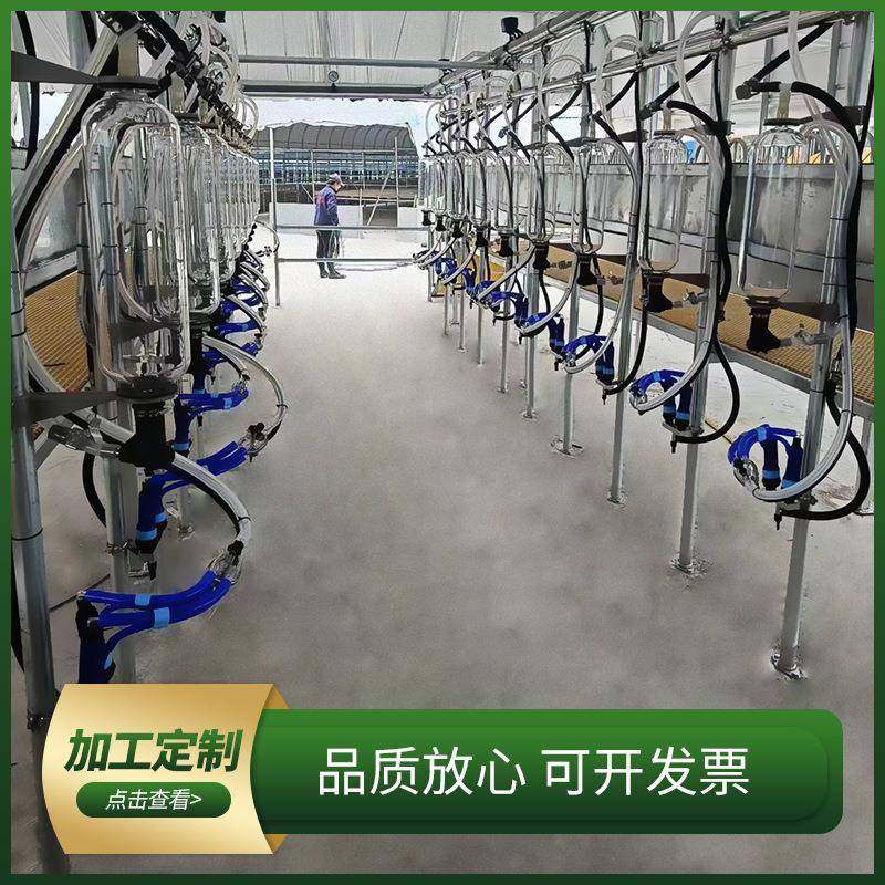 并式挤奶厅鱼自骨式并列快放列动脱杯挤奶奶设备牛羊KTV用挤奶厅