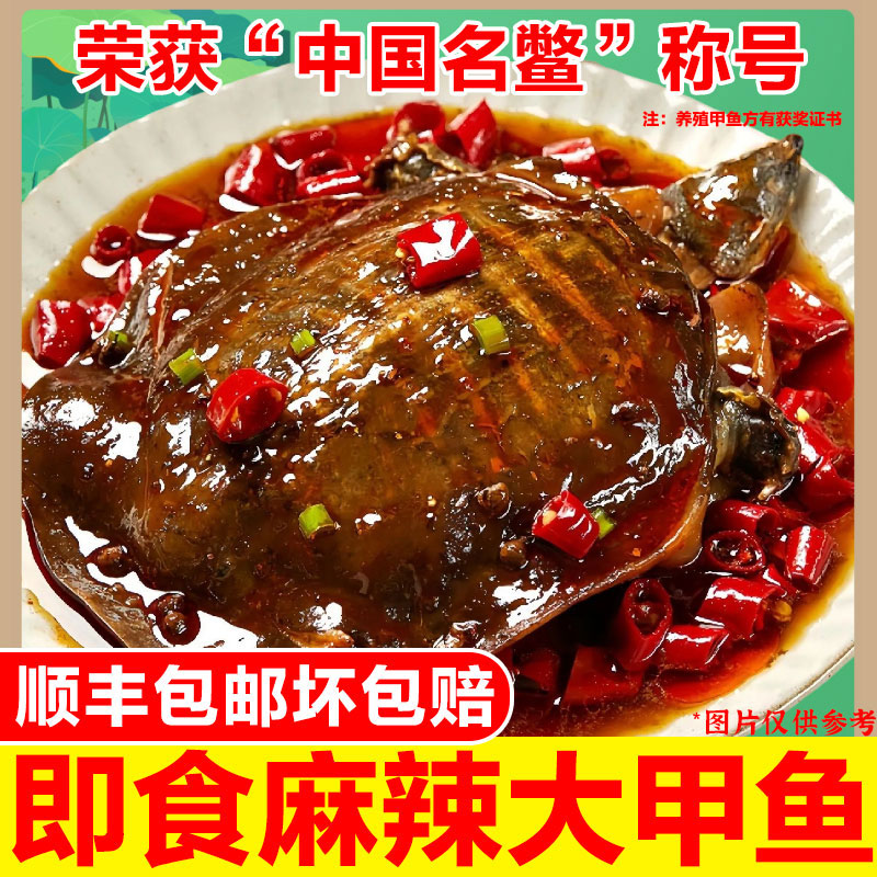 【顺丰】2只装整只麻辣甲鱼熟食加热即食甲鱼团鱼裙边卤味