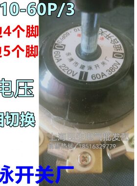 乐清建泳开关厂HZ10-60P/3组合开关9铜脚2电路100P/3银触点25P/3