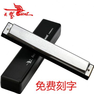 天鹅24孔复音重音口琴A/B/C/D/E/F/G/A#/C#/D#/F#/G#12调全套乐器