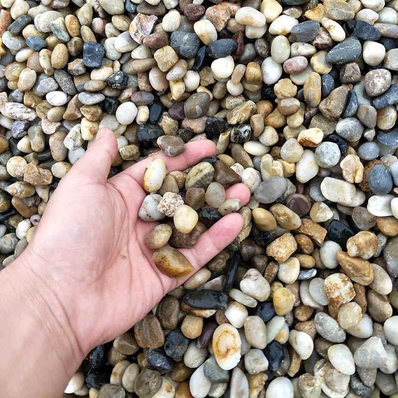 地暖豆石迷c你汗蒸小鹅卵石鱼缸过滤石头园林铺路造景雨花石子装