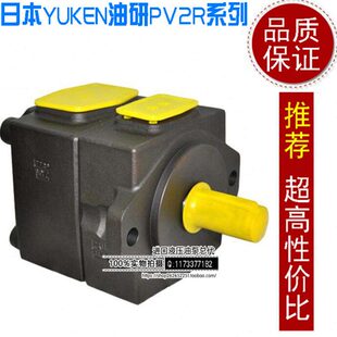 4222注塑机油泵压铸机叶片泵 RAA 油研液压泵PV2R1