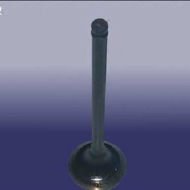 福田富路御捷马双杠发动机气门272发动机气门B2G06发动机气门