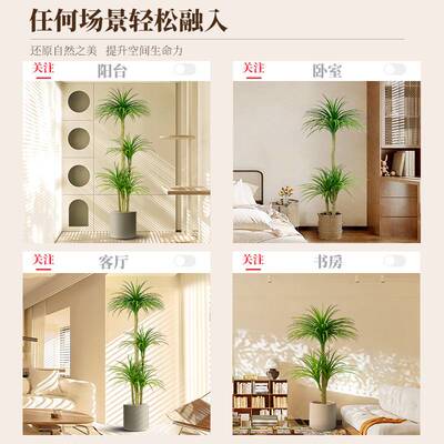 仿真绿植多头龙血树客厅室内大型轻奢仿生植物假盆栽沙发落地摆件