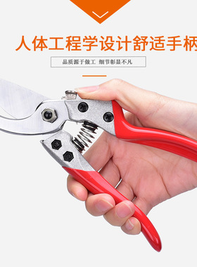 台湾进口SK5钢材园林修剪树枝剪省力修花剪刀园艺剪修枝剪镀铬版