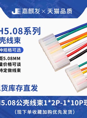 CH公壳连接器接插件插头带线2p-12P 1015#22间距5.08MM600V电源线