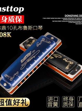 东方鼎T008K paddy十孔布鲁斯口琴10孔C调蓝调初学者专业演奏乐器