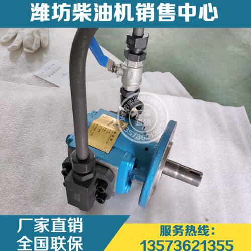 XCW8200潍柴6200重庆C62.08.27.0000燃油输送油泵C62.08.22.1000