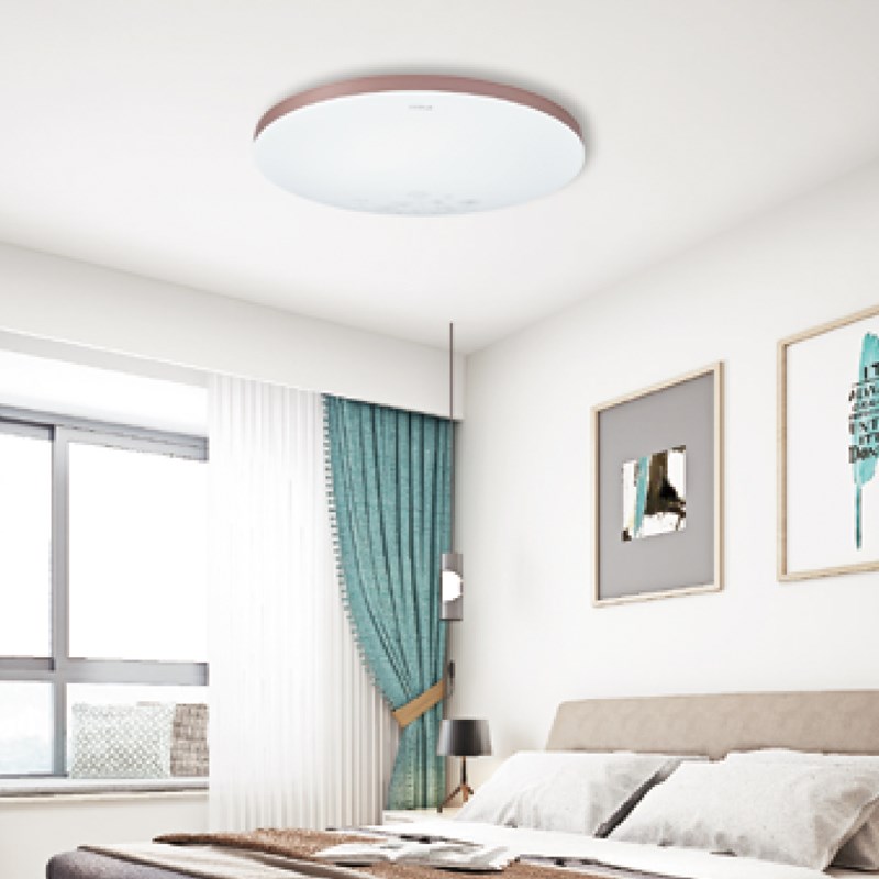 实体店同款吸顶灯具简约现代大气圆形卧室L灯阳台过道厨卫灯 皓白