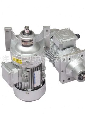WB110-LD-11-90W立式微型摆线针轮速电机WB65-WD-290行星速器