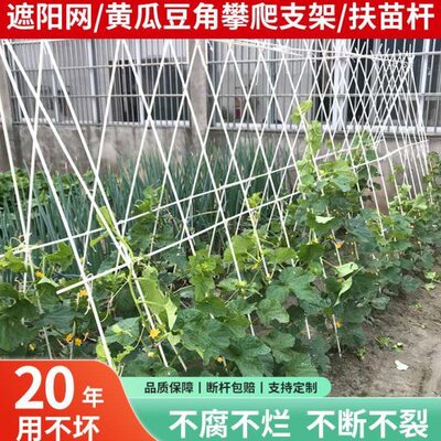 黄瓜西红柿架子拱棚爬藤架杆竹竿架豆角神器菜园西瓜种菜豇豆竿子
