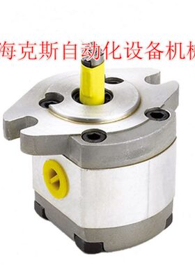 P01GT P101R P01GT P102RP01GT 齿轮泵