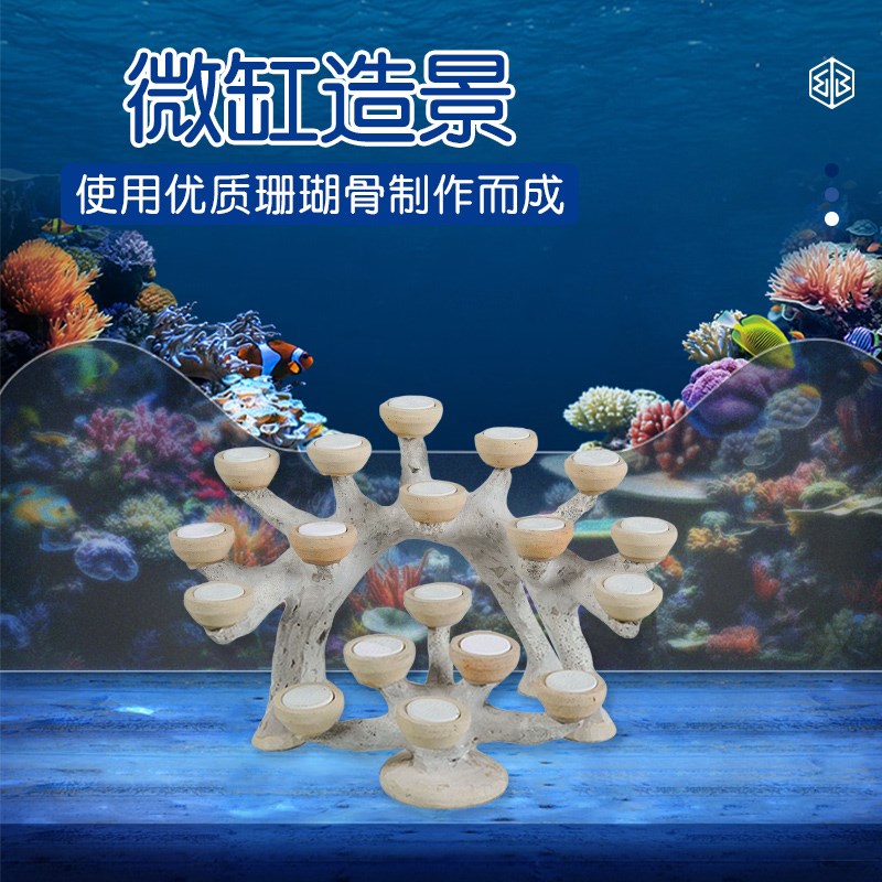 40缸造景石海缸鱼缸水族养鱼摆件树景珊瑚石景观Y岩石装饰定制