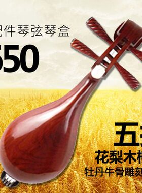 梵巢牌弹拨民族乐器红花梨木铜品骨花柳琴手工制作赠配件拨片弦盒