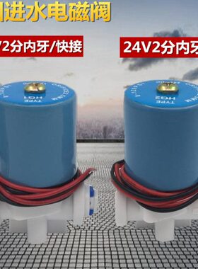 DC24V 纯水机专用圆型电磁阀 DC12V 2分管蓝色进水电磁阀净水配件