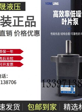 原装仙居YLC永灵V10-1P3P-2B 叶片油泵 V20-1P4P 6P 7P 8P 9P 12P