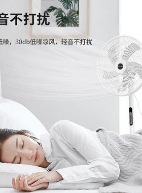威力电扇风能扇25761落地扇家用风力节电定时摇头静音立式宿大舍