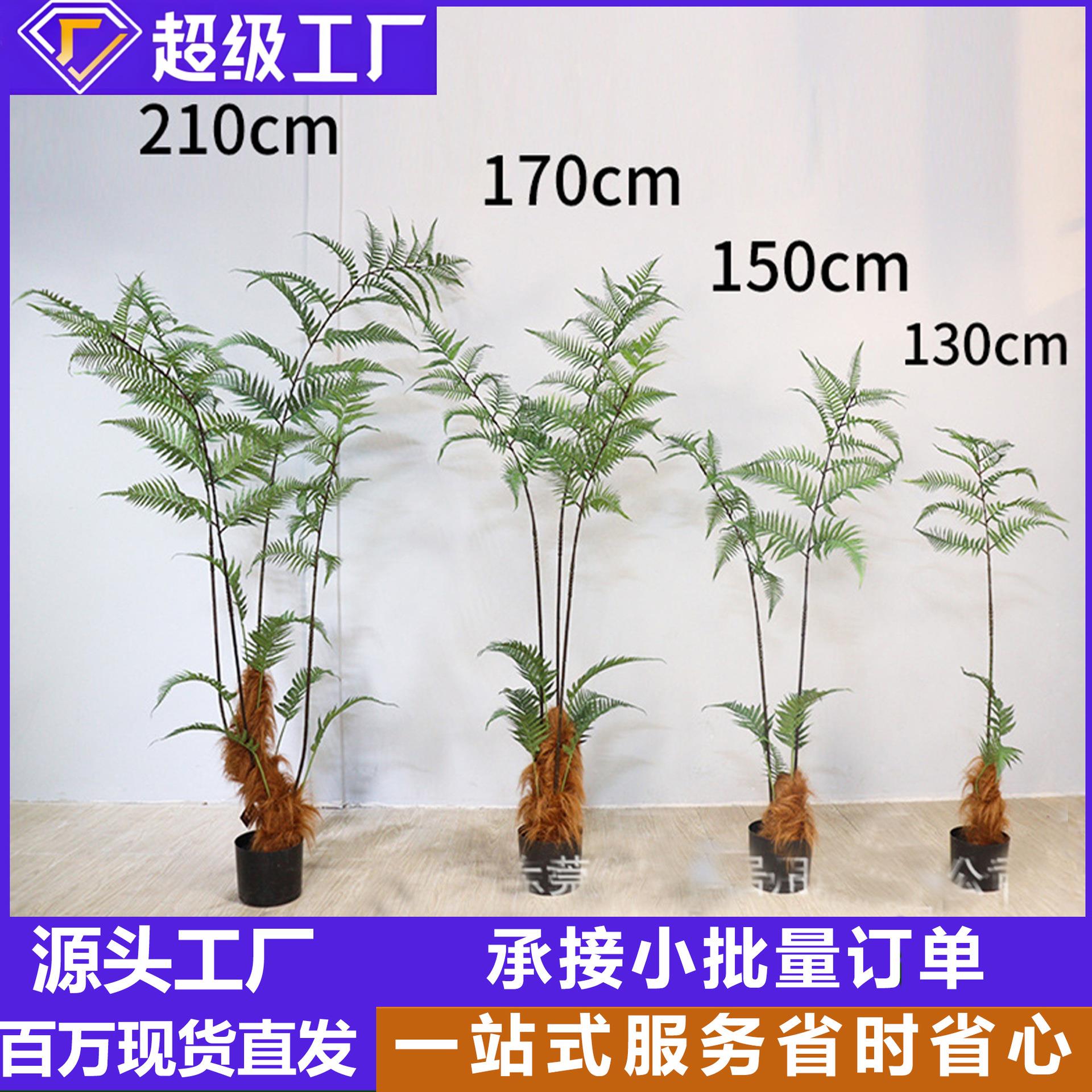 软装造景设计仿真假树猴头蕨室内植物仿生绿植金丝撅庭院装饰盆栽