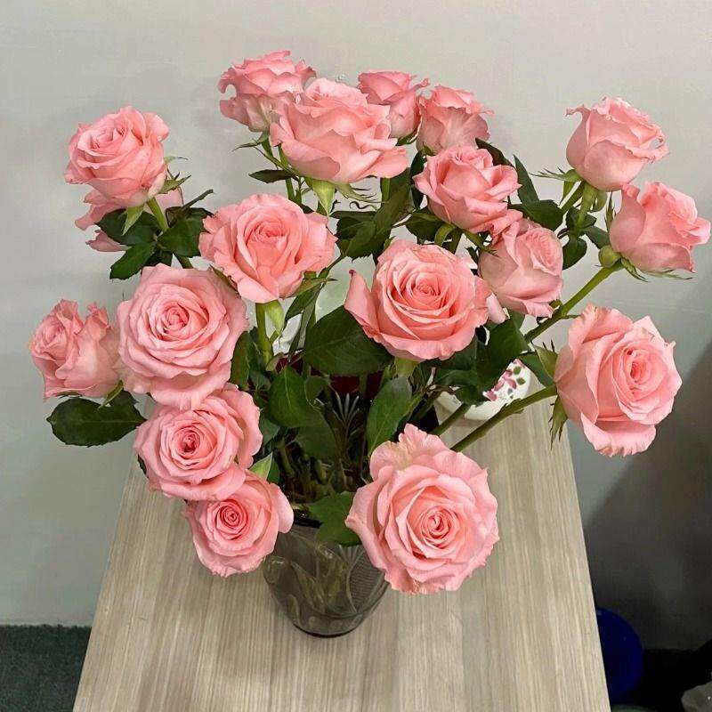 40枝粉12345678戴安娜影星束玫瑰玫鲜花瑰花云南基地直色发鲜切花