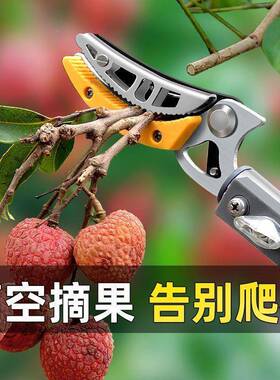 高剪摘果剪采剪刀多功能加伸长缩果园摘龙眼荔枝桂圆高空UPG摘果