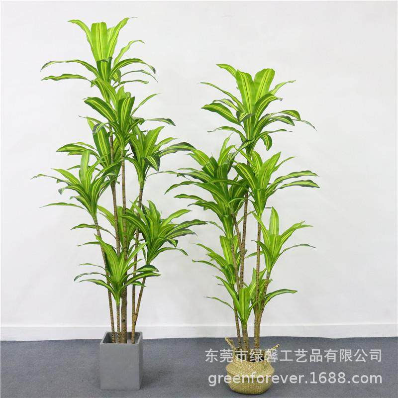 北欧仿真绿植植西木盆物巴西铁假树室内LVP033客厅落地盆景装饰摆,家居饰品,仿真植物盆景,淘宝优惠券,粉丝福利购,淘宝优惠卷