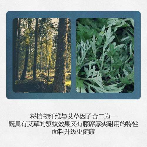 夏季席天然草藤席凉席艾子可裸睡可折叠冰凉丝学生宿001感舍单人