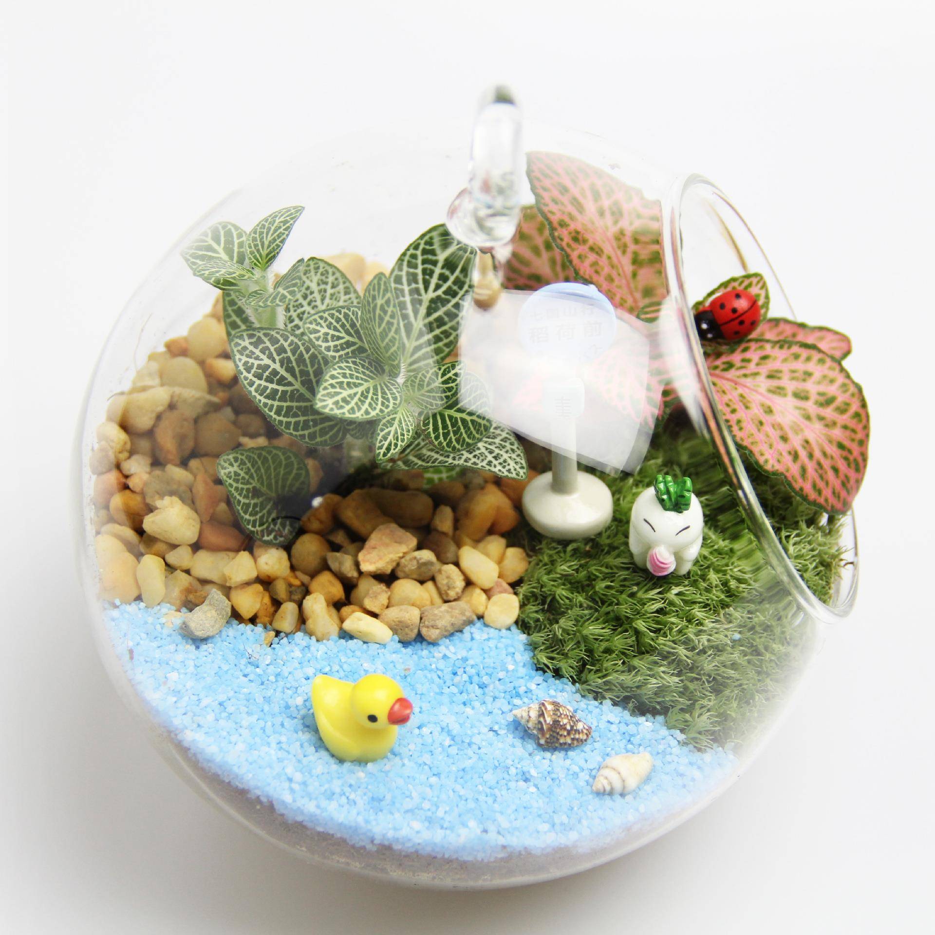 创意礼品礼物苔藓微观tz-20181装生套态景瓶材料包12cm平底吊瓶