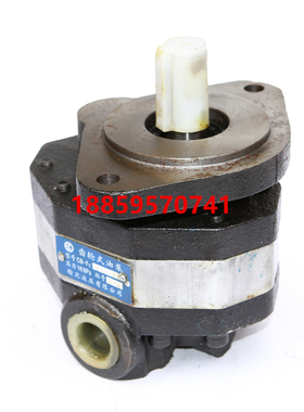 CB-FC10/12/16/18/20/25/32/40/50/63/80/100-FL FR-X齿轮油泵