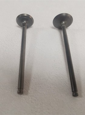 适用木铃海王星HS125T福星AN125红蓝金悠E发动机缸头气门油封