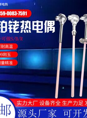 铂铑热电偶 WRP130/230/S型R型B型耐高温0-1600度刚玉温度传感器
