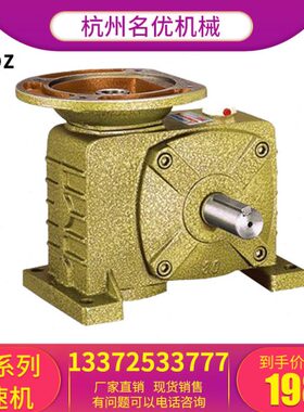 WPDZ涡轮蜗轮蜗杆减速机小型带电机齿轮WPA立式减速机升降机升降