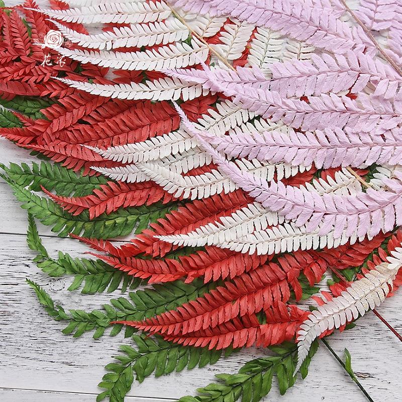 永生花花材蕨叶DIY材料配材 永生厥叶 永生花礼盒玻璃罩花环材料