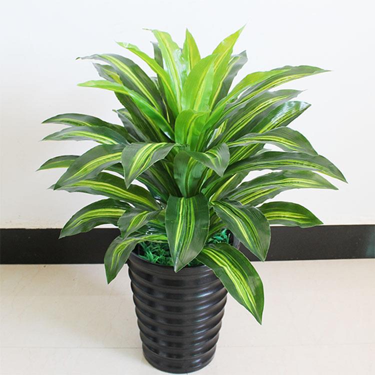 仿真巴西铁巴西木盆栽盆景绿植园艺装饰室内客厅落地酒店摆件