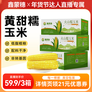 【达人直播】3箱 鑫蒙穗黄糯玉米内蒙古新鲜低脂软糯香甜玉米24根