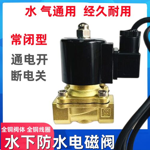 2W160-15防水电磁阀水阀 4分6分1寸电磁控制阀 喷水泉下室外专用