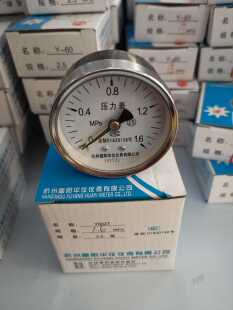 轴向压力表 Y60Z Y60ZT 轴向不带边 杭州富阳华仪仪表有限公司