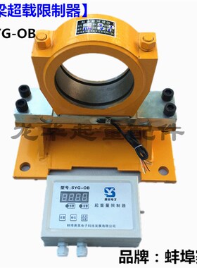 供应双梁/天车起重量限制器  SYG-OB蚌埠赛英轴承坐式超载限制器