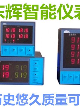 福建东辉大延智能仪表 DY21FE0P DY21FE1P DY22FE0P DY22FE1P4M