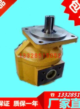 CBGFa-2100/2080/2063/2050/2040四川长江-F铲车CBG-Fa齿轮泵B1R